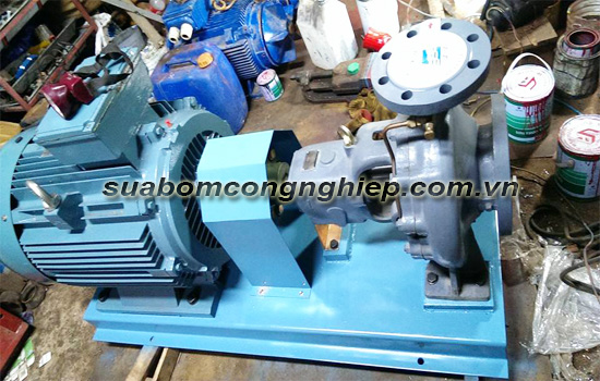 Cường Thịnh Vương- địa chỉ cho thuê máy bơm công nghiệp nhanh chóng tại Hà Nội