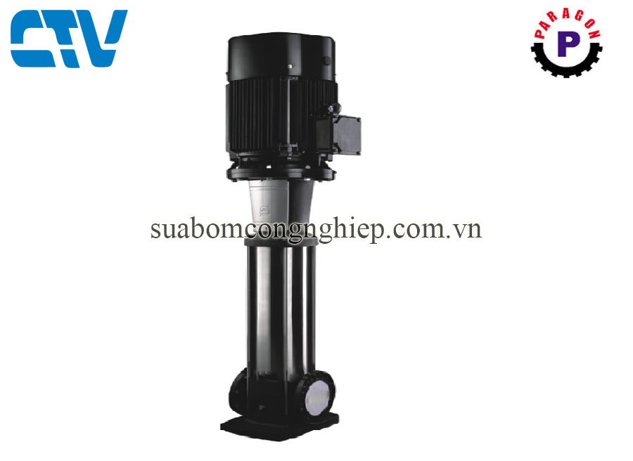 Máy bơm nước trục đứng Paragon PV 32-80/2