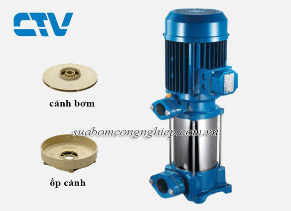Cánh, Ốp Máy Bơm Trục Đứng Pentax U7V-300/6T 3HP 2,2KW