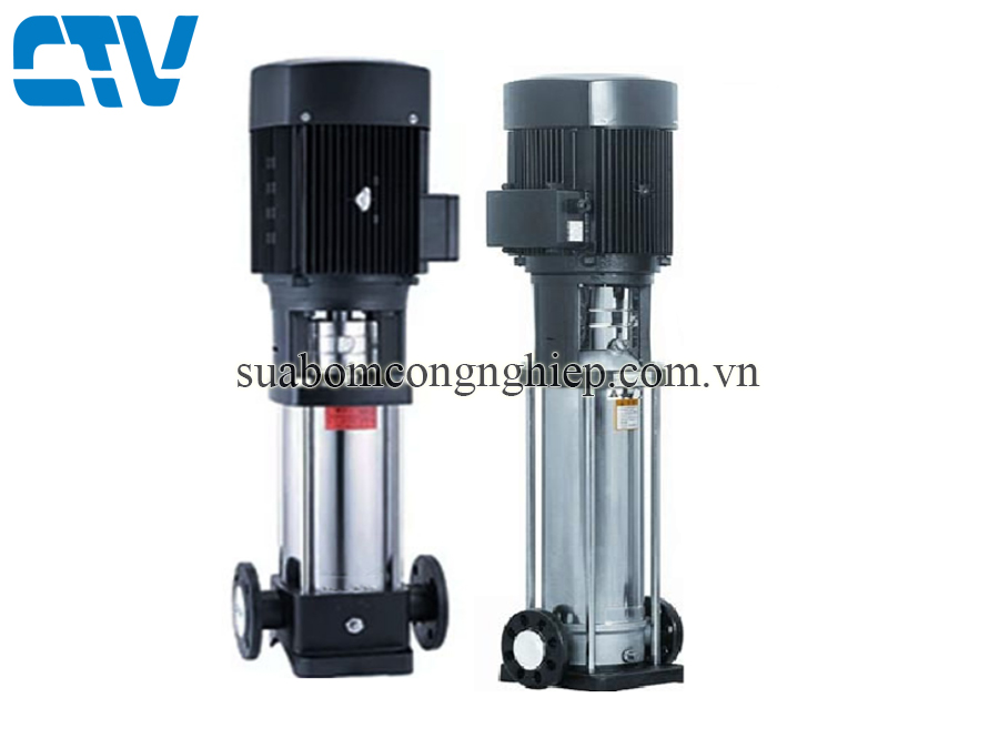 Máy bơm nước trục đứng Paragon PV 12-70