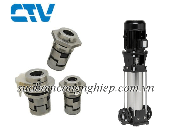 Phớt Máy Bơm Trục Đứng Saer