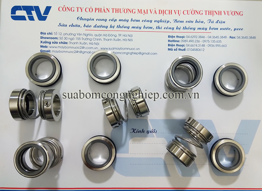 Phớt cơ khí, phớt hóa chất Type CTV-1527/45