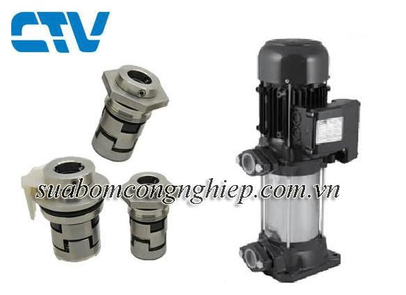 Phớt Trục Đứng Máy Bơm Matra