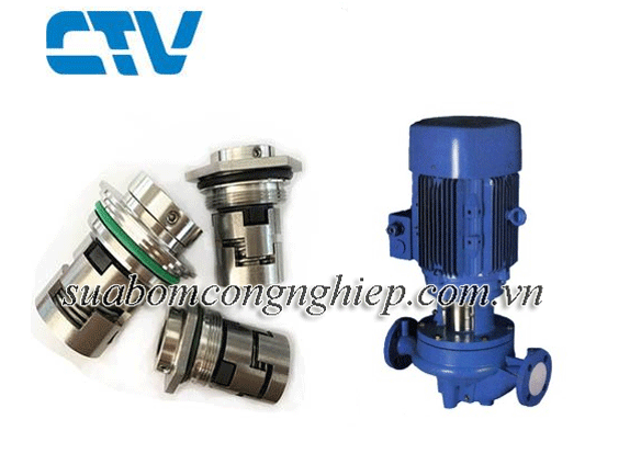 PHỚT MÁY BƠM TRỤC ĐỨNG - PARAGON