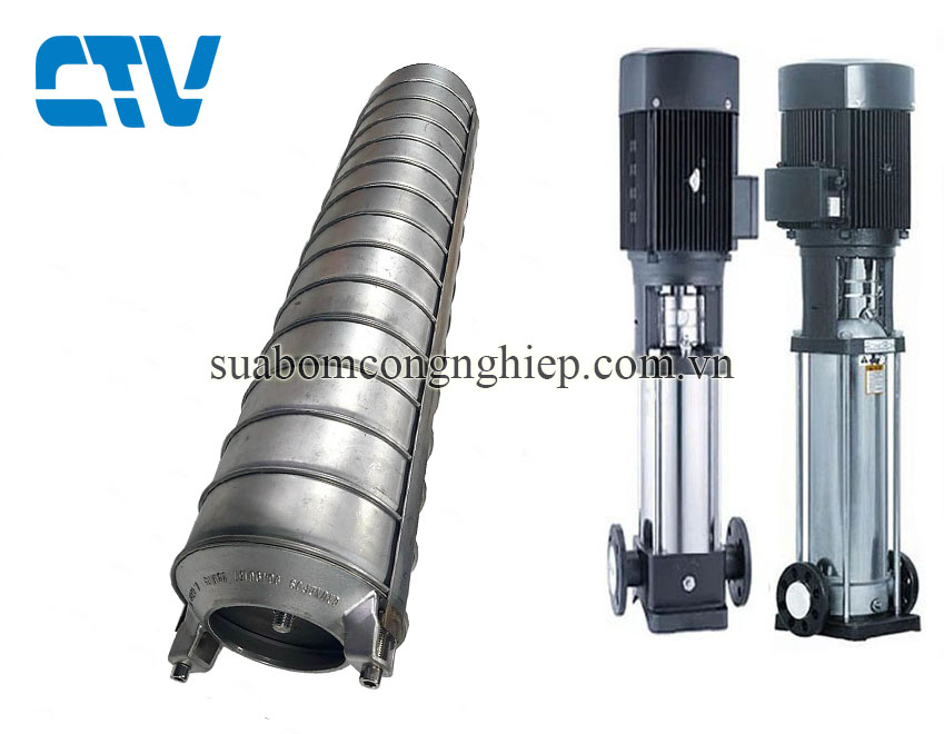Ruột Buồng Cánh Máy Bơm Trục Đứng Paragon PV12-180
