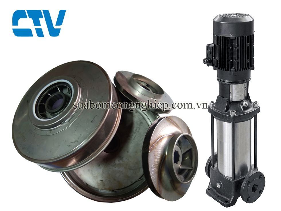 Bộ ruột buồng máy bơm trục đứng Ebara EVMSG10 14F5