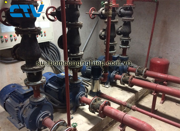 Cho thuê máy bơm công nghiệp cho các khách hàng tại Hà Nội
