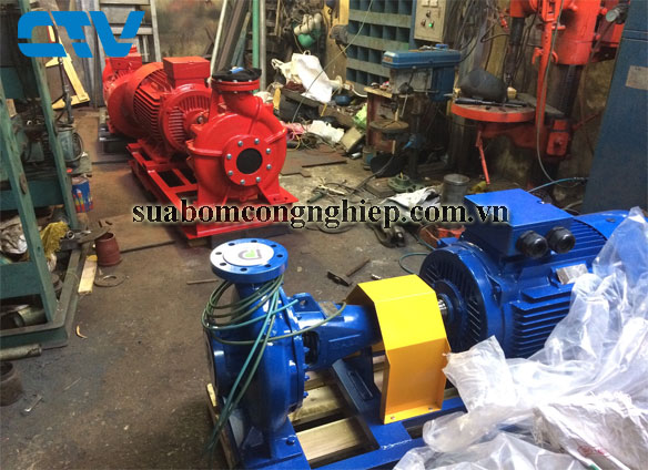 Cho thuê máy bơm công nghiệp giá tốt nhất tại Hà Nội