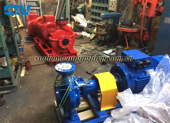 Cho thuê máy bơm công nghiệp giá rẻ tại Hà Nội
