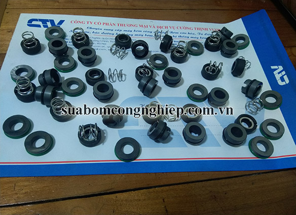 Phớt máy bơm nước model HQM2-12