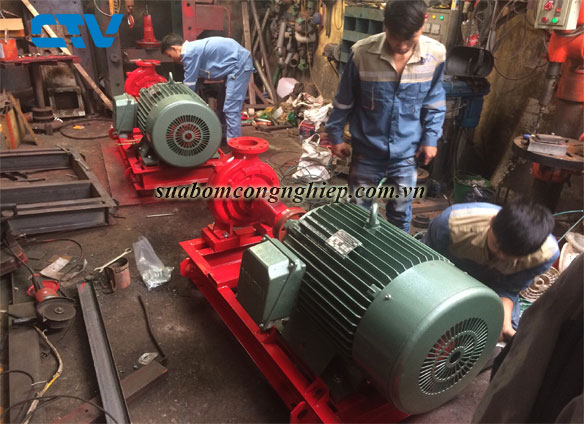 Dịch vụ sửa chữa máy bơm nước công nghiệp nhanh chóng, tin cậy cho mọi khách hàng