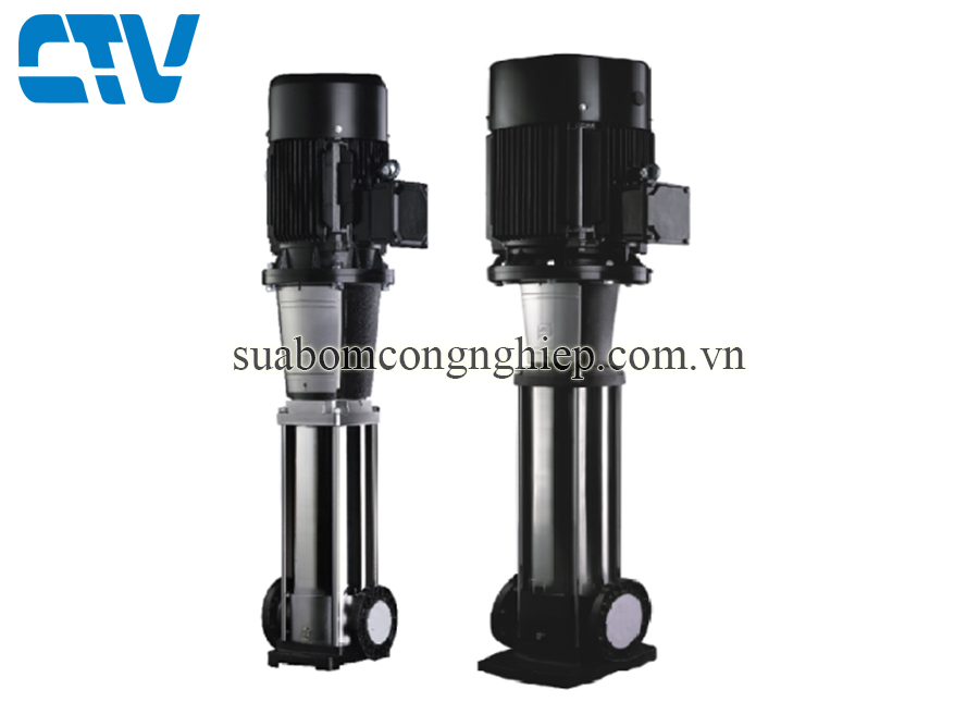 Máy bơm nước trục đứng Paragon PV 85-40/2