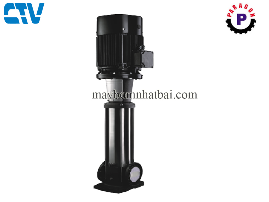 Máy bơm nước trục đứng Paragon PV 32-30