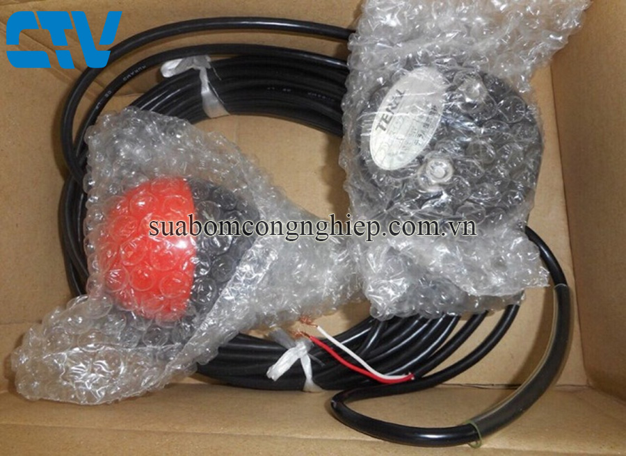 Phao bơm, Phao bơm điện máy bơm Teral FS