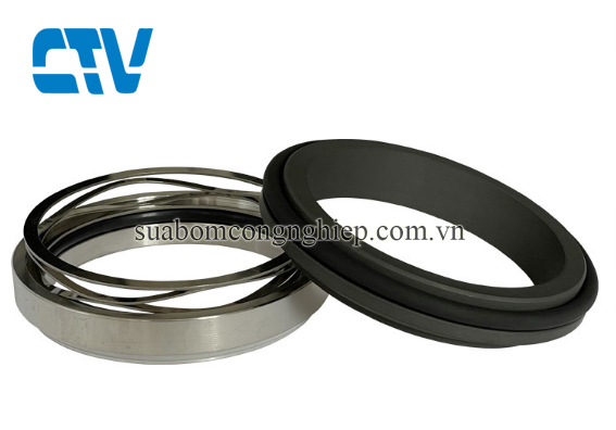 Phớt cơ khí máy bơm công nghiệp ABS AFP trục 65mm
