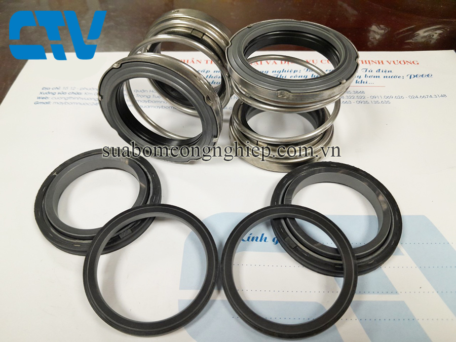 Phớt máy bơm chìm Ebara 100DML55.5 - 5.5kw