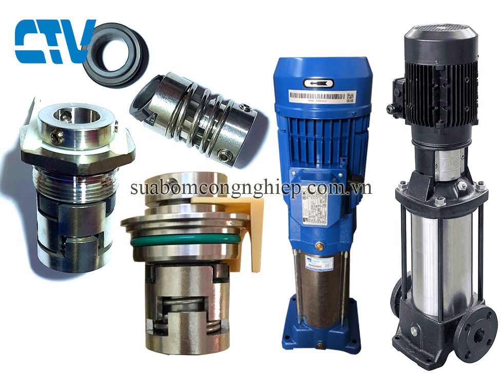 Phớt bơm trục đứng đa tầng cánh Ebara 11kw