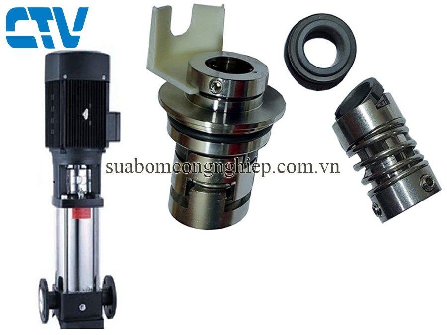 Phớt Trục Đứng Máy Bơm Paragon PV 16-30