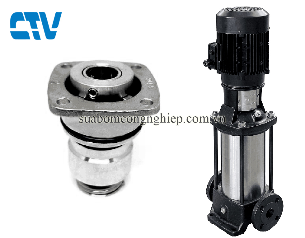 Phớt máy bơm Ebara EVMGS bơm trục đứng type NN H7N