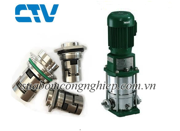 Phớt bơm trục đứng Wilo