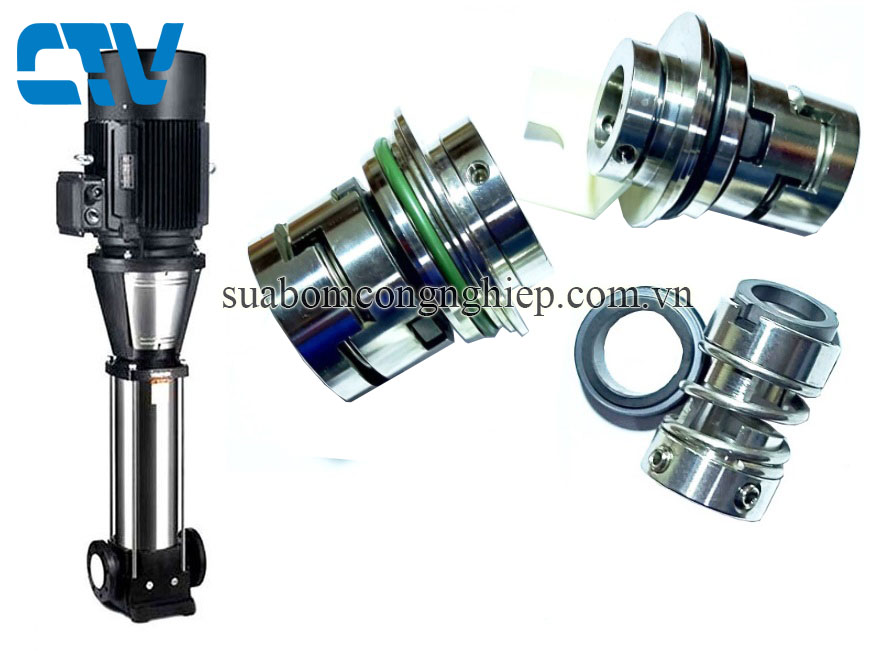 Phớt máy bơm trục đứng Paragon PV 85