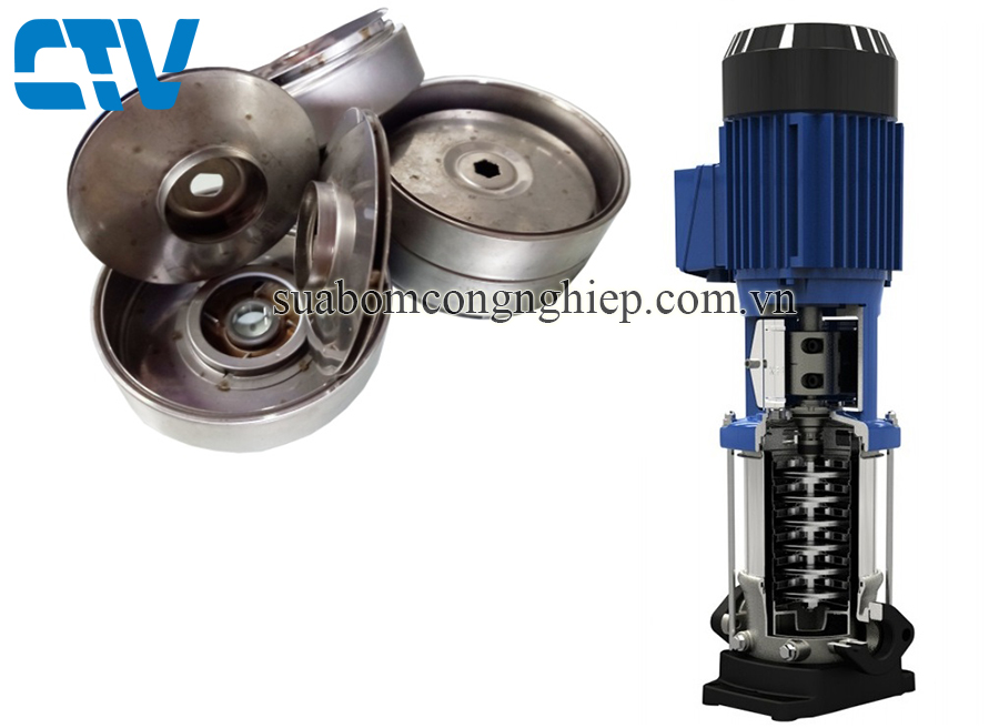 Ruột buồng bơm trục đứng KSB Type Movitec 2/6 B