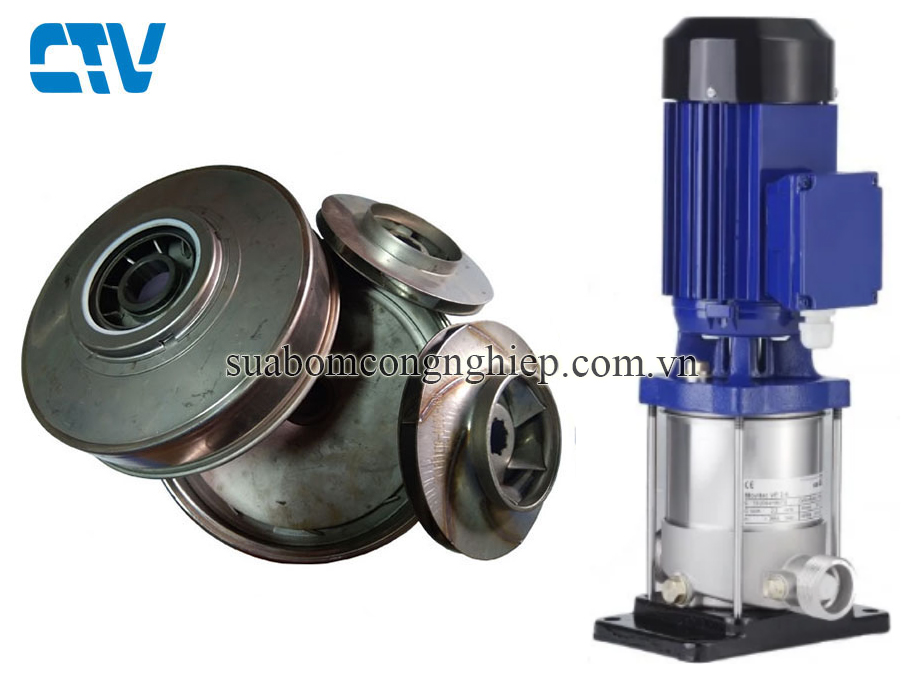 Buồng bơm trục đứng đa tầng cánh KSB Movitec 6/3B