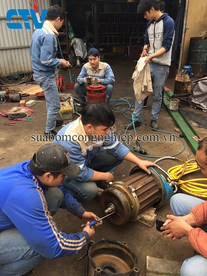 Bảo trì, bảo dưỡng, sửa chữa máy bơm chìm nước thải Pentax uy tín, chuyên nghiệp