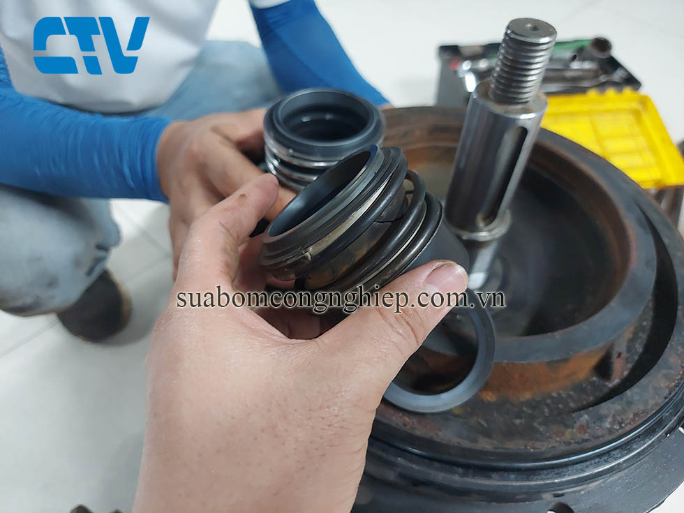 Sửa chữa thay phớt máy bơm Wilo