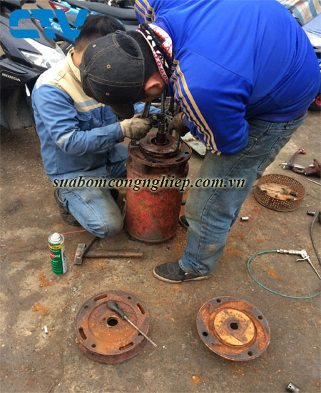 Sửa máy bơm nước chuyên nghiệp tại Hà Nội