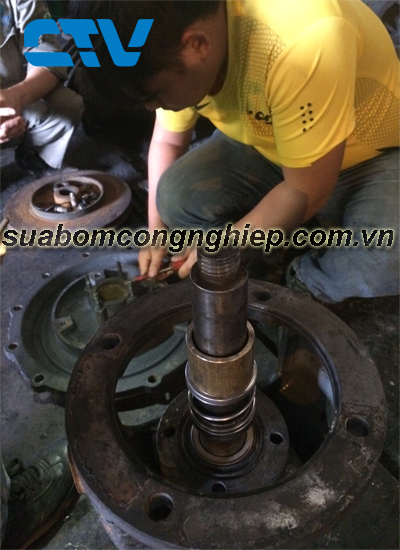 Thay phớt máy bơm công nghiệp nhanh chóng, uy tín tại Hà Nội