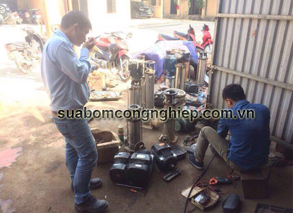 Thay phớt máy bơm hệ thống lọc nước RO