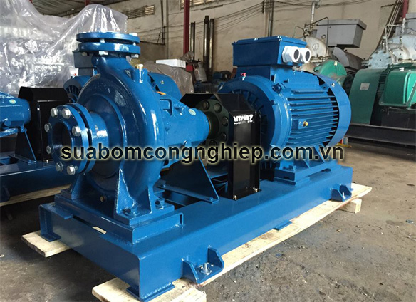 Tổng quan về các dòng máy bơm trục rời
