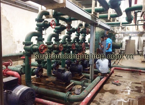 Vì sao nói Cường Thịnh Vương là đơn vị sửa máy bơm nước tuyệt vời nhất tại Hà Nội??????