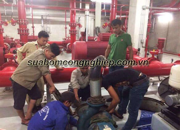 cường thịnh vương thi công lắp đặt hệ thống máy bơm công nghiệp